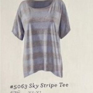 CAbi 5063 Sky Stripe Tee - medium